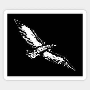 Seagull Flying Sticker